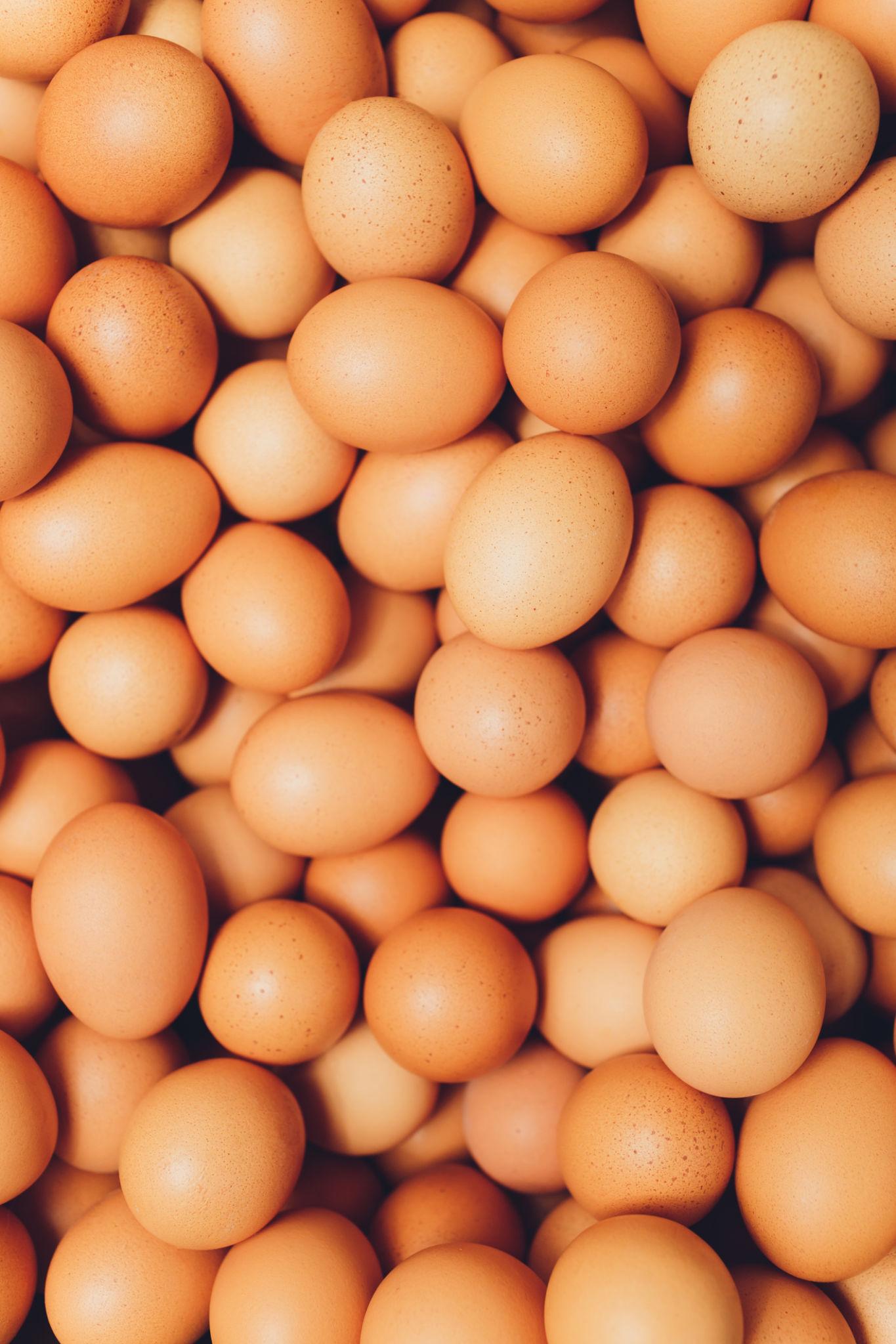 Brown Eating Eggs