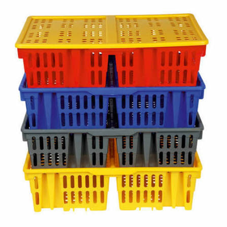 Poultry Plastic Chick Boxes