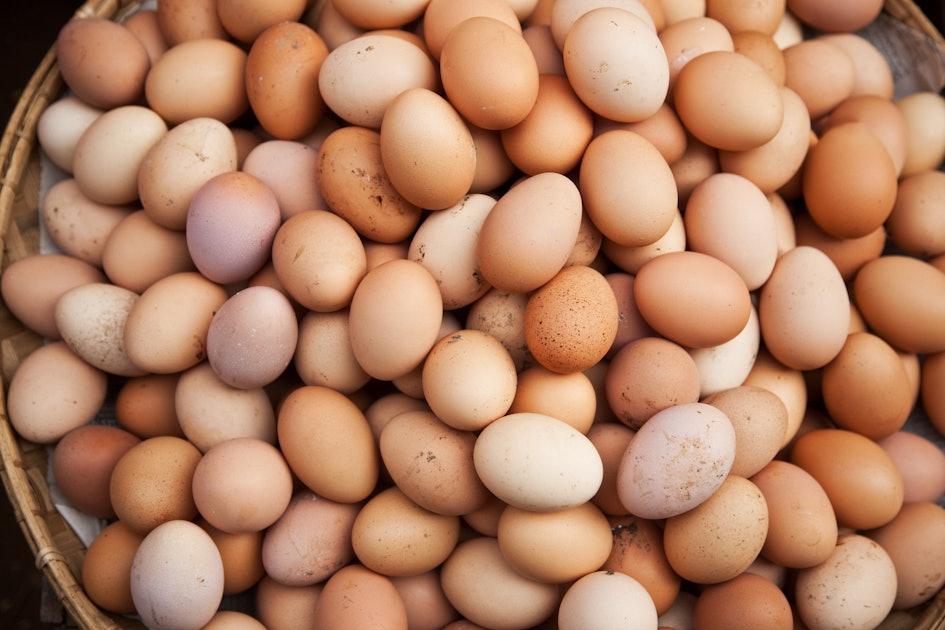 Desi Eating Eggs