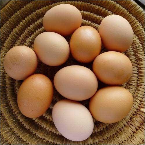 Desi Hatching Eggs