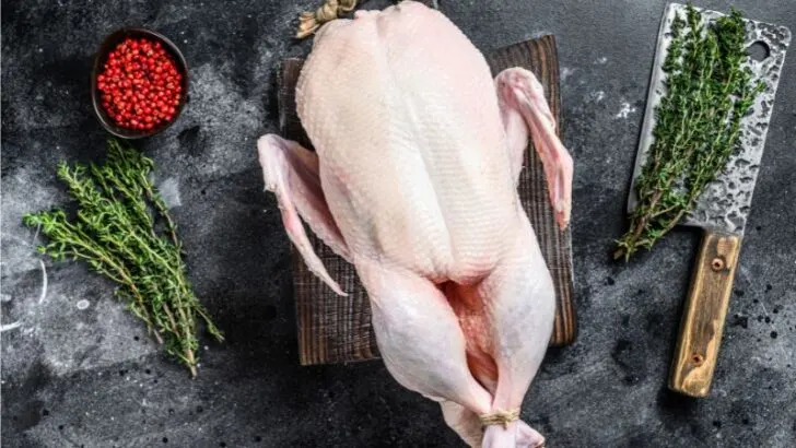 Indian Runner Duck Meat