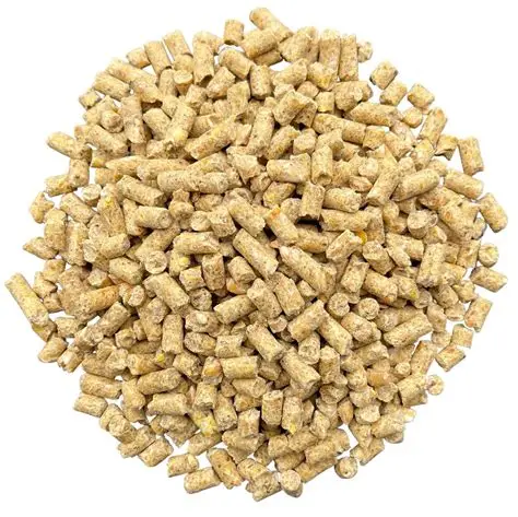 Layer Poultry Feed