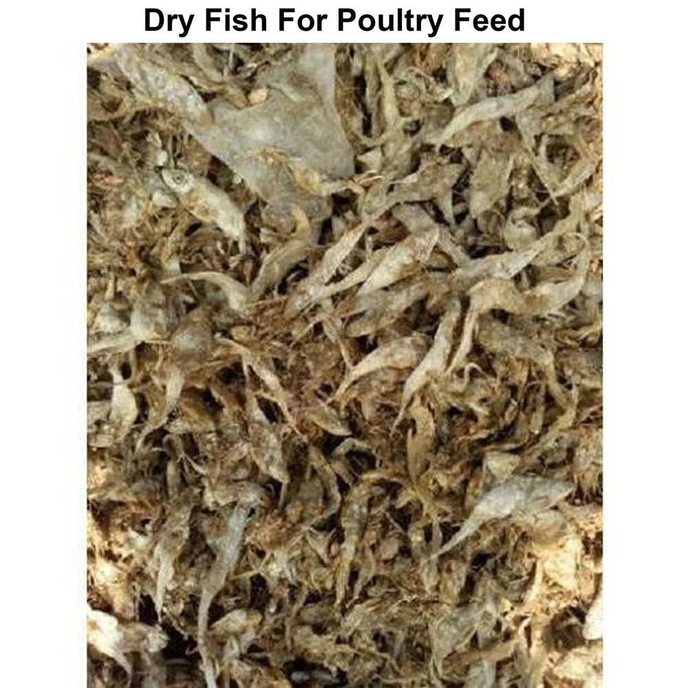 Poultry Dry Fish
