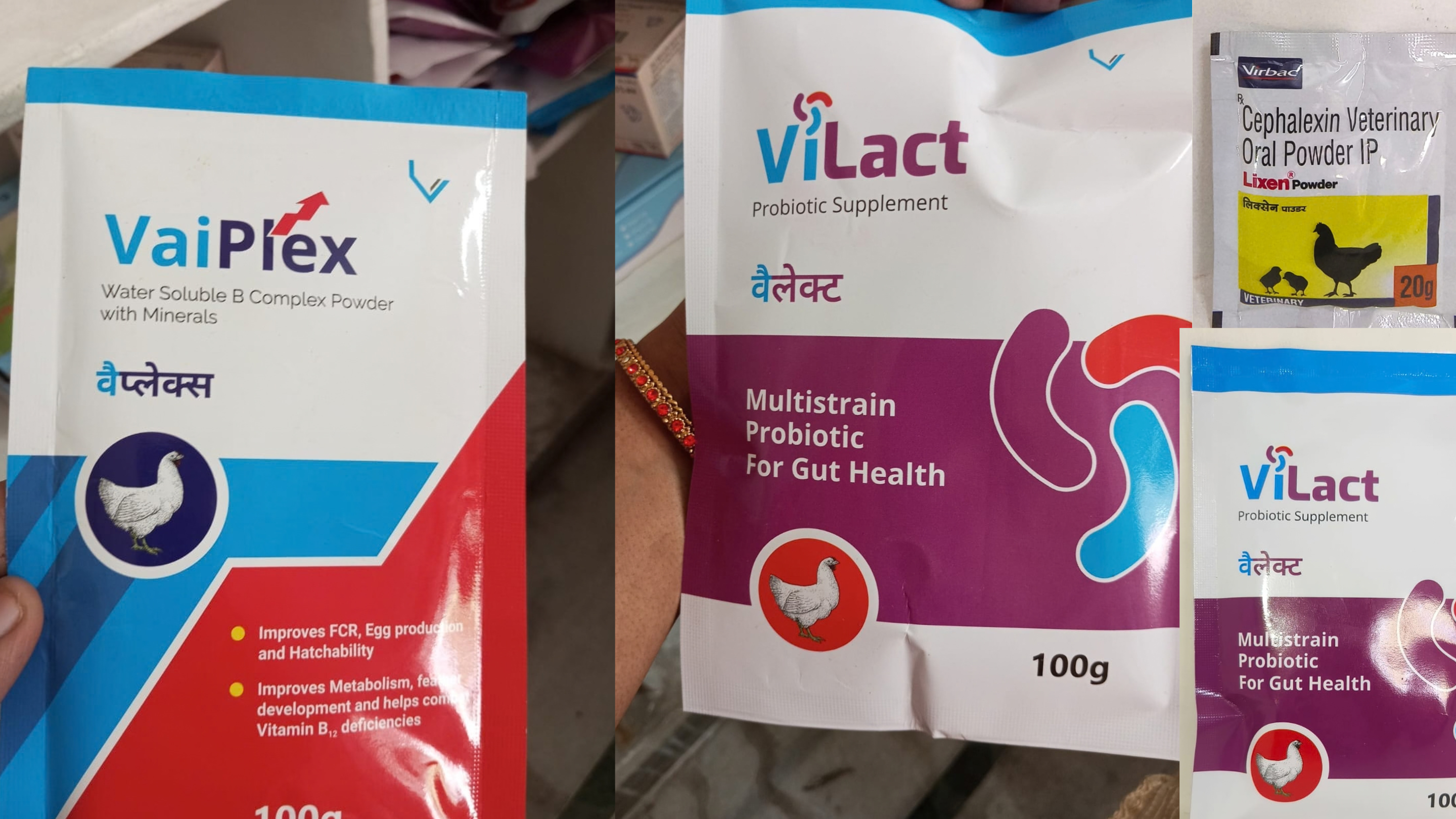 Poultry Respiratory Support Medicines